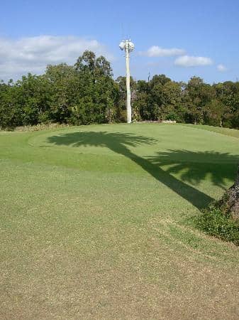 Picturesque Garden Paths