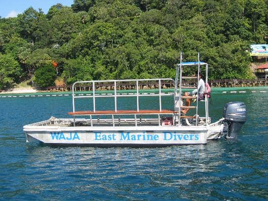 Introductory Scuba Dive