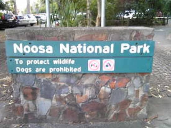 Noosa National Park Coastal Track