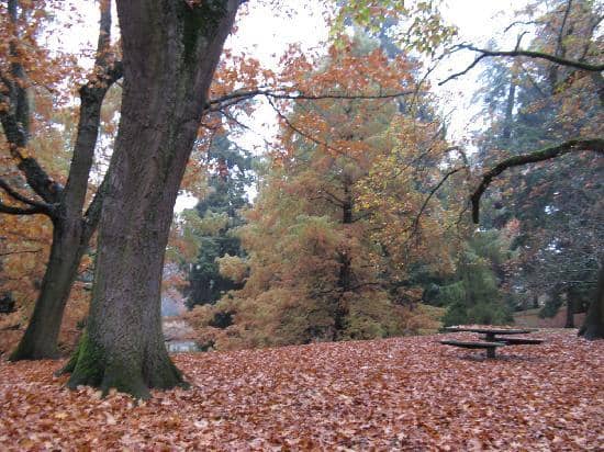 Lush Walking Trails