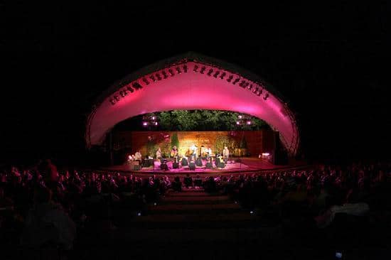 Vineyard Views & Patios