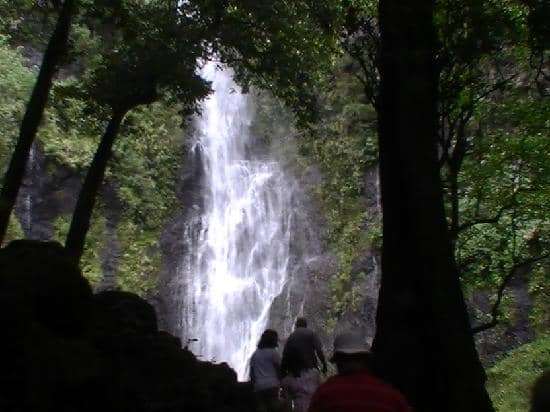 Fautaua Valley Jungle Trek