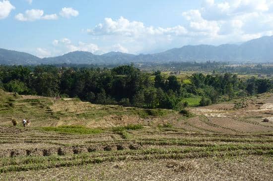 Licchavi Period Stone Inscriptions