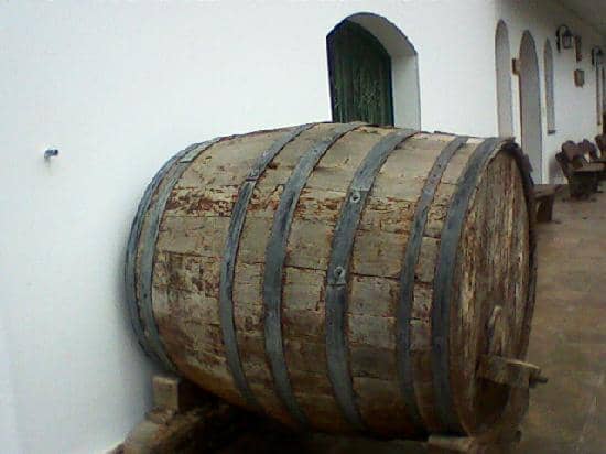 The Oldest Bodega