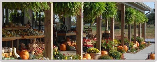 Seasonal Produce & Treats