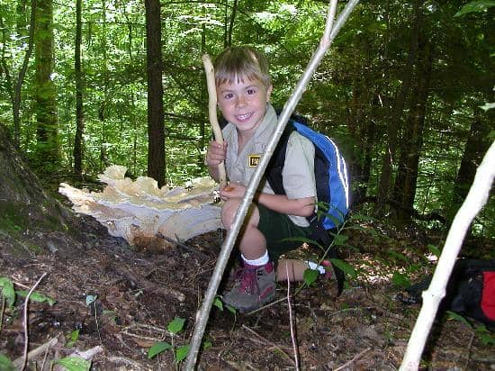 Giant Dinosaur Replicas