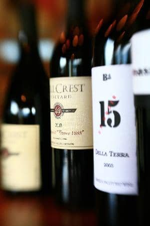 Beautiful Vineyard Grounds