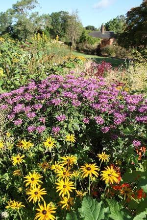 Victorian Potager