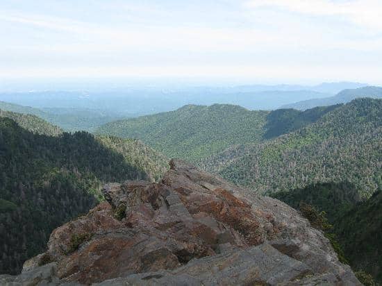 Charlies Bunion Summit