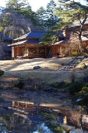 Tranquil Garden Stroll