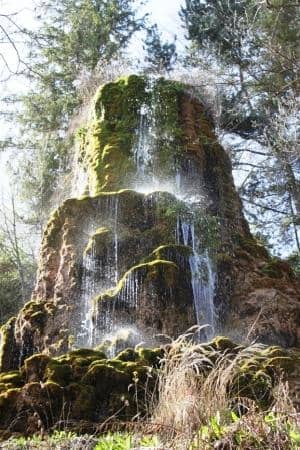 Vertical photo