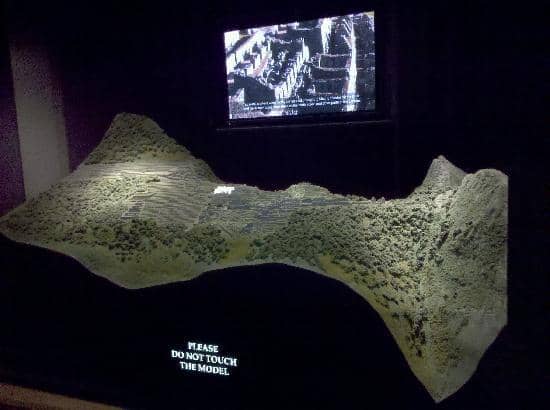 Minerals and Geodes