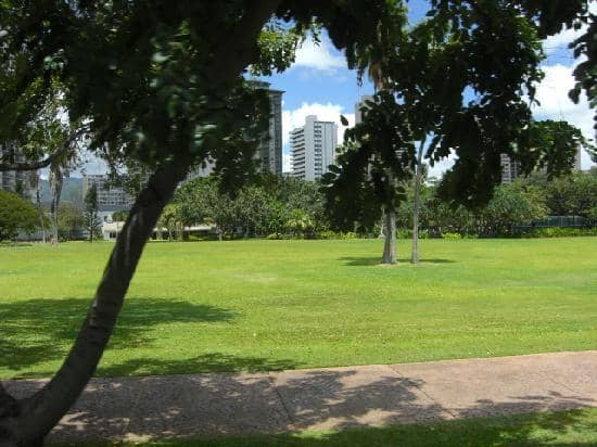 Picnic Paradise
