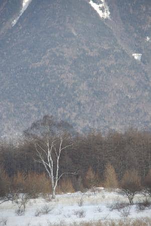 Vibrant Autumn Colors