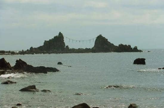 Tide Pools