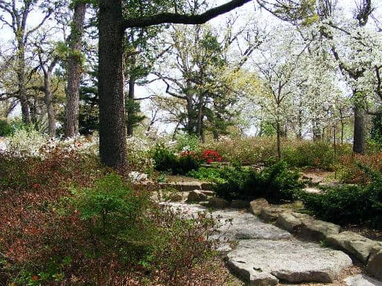 Koi Pond