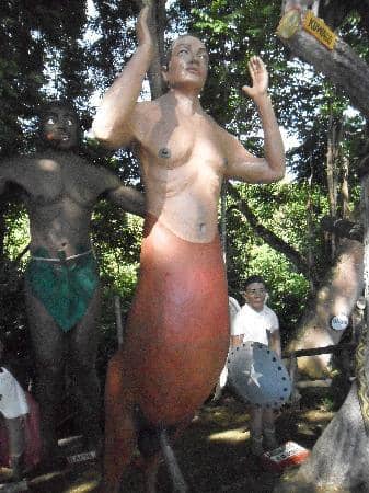 Farm Animal Encounters