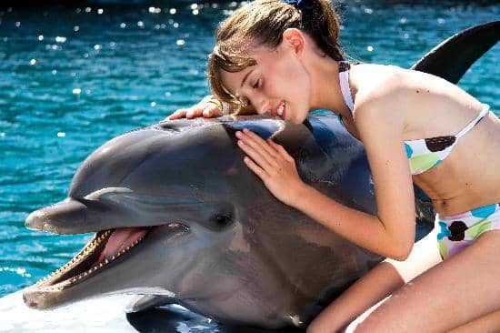 Sea Lion Show