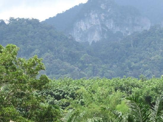 Limestone Karsts and Caves