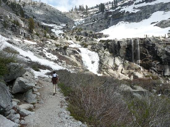 Wildlife Spotting Opportunities