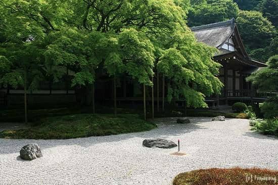 Peaceful Gardens