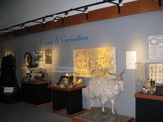 Highlights