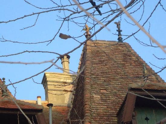 Architectural Grandeur