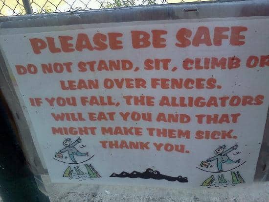 Interactive Animal Encounters