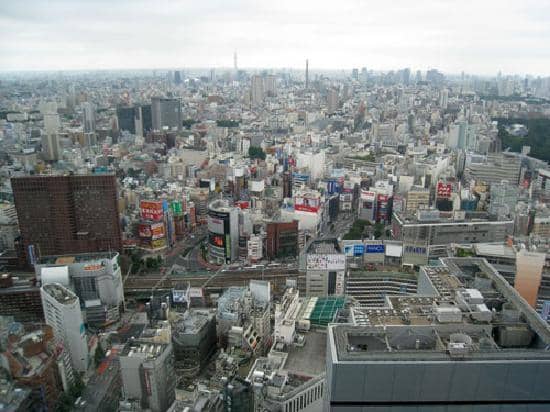 Rotating Exhibitions