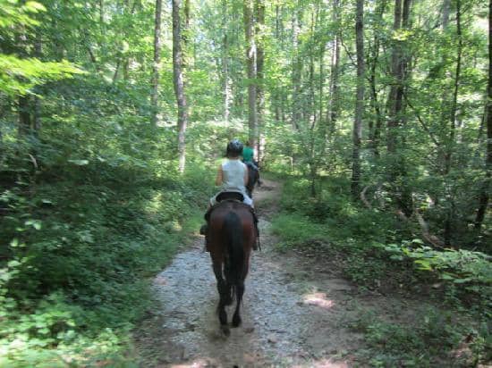 Smokemont Loop Trail