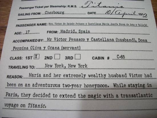 Safari Wildlife Exhibit