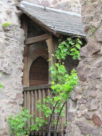 Proximity to Felsenkirche