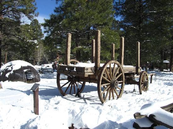 Riordan Family History