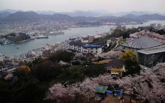 Tadao Ando Art Museum