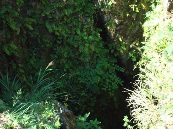 Expansive Karst Landscape