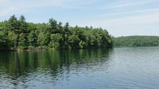 Goose Pond