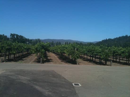 Dollarhide Estate Vineyard