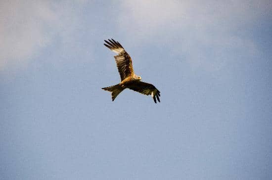 Gateway Hide Experience