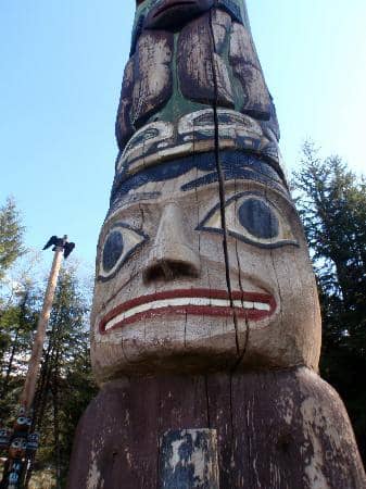 Lush Rainforest Setting