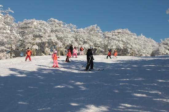 Winter Sledding Fun