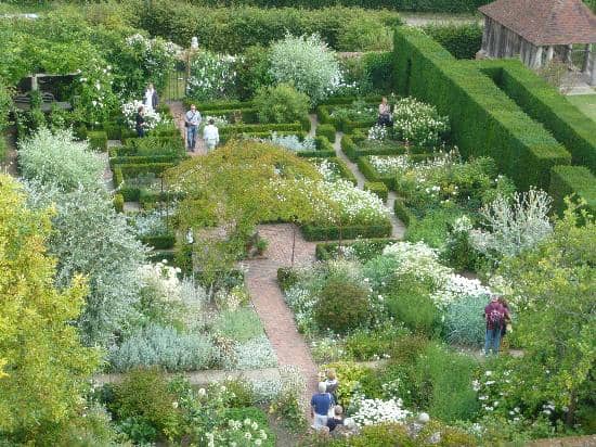 The Rose Garden