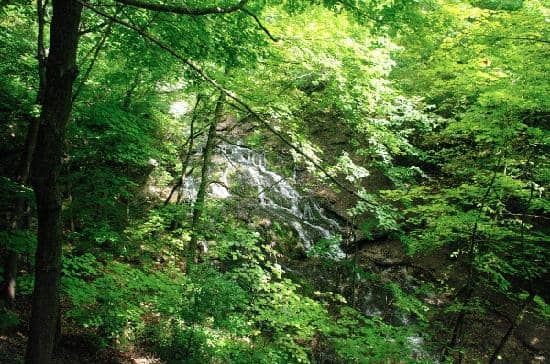 Picnic and Relaxation Spots