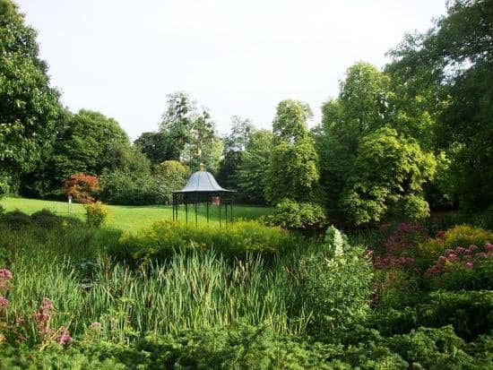 Tranquil Pond and Pavilion
