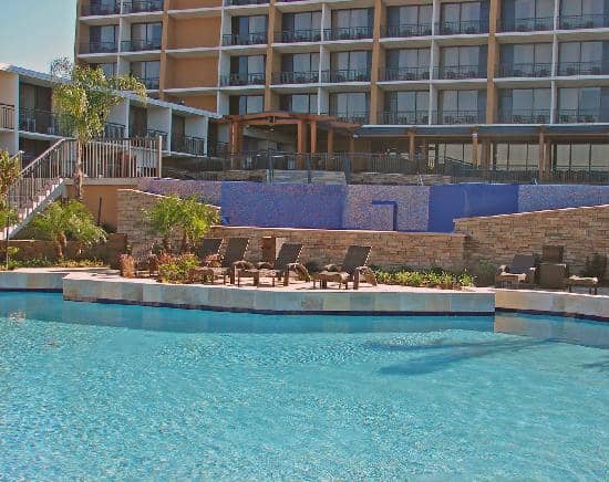 All-You-Can-Eat Snow Crab Buffet