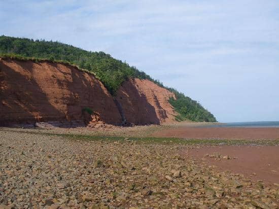 Scenic Hiking Trails