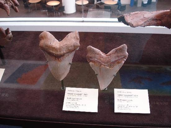 Historical Artifacts