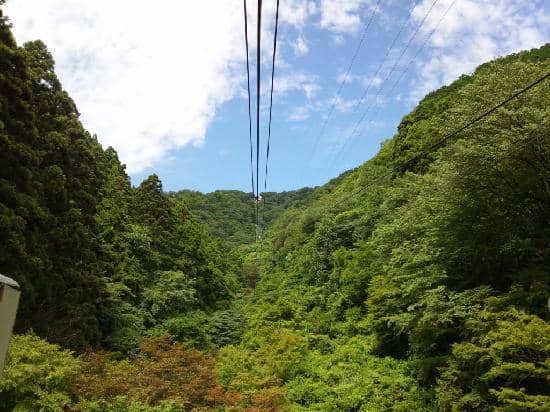 Spiritual Forest Walk
