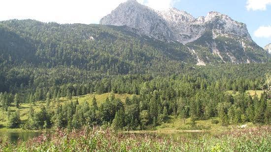 Panoramic Mountain Views