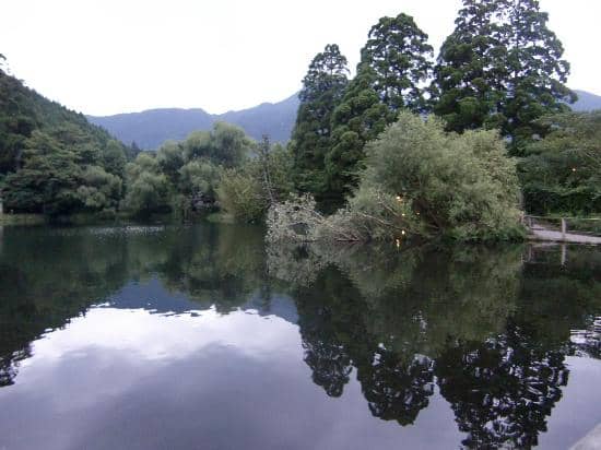 Autumn Foliage Spectacle