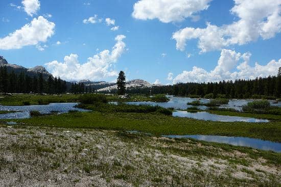 Soda Springs